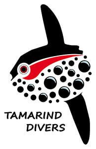 Tamarind Divers