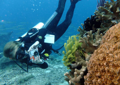 Learning new skills through PADI courses with Tamarind Divers