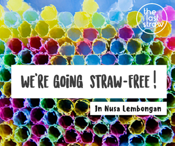 The Last Straw Lembongan - helping protect our ocean