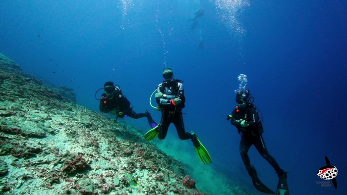 Drift Diving