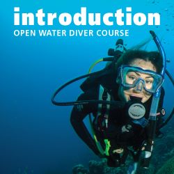 PADI Open Water Course