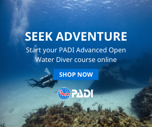 PADI AOWC